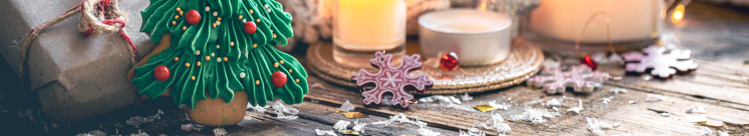 Christmas in Brooklyn for Older Adults