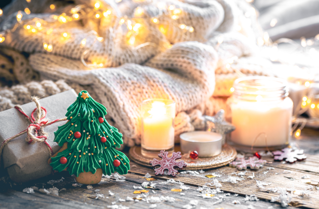 Christmas in Brooklyn for Older Adults