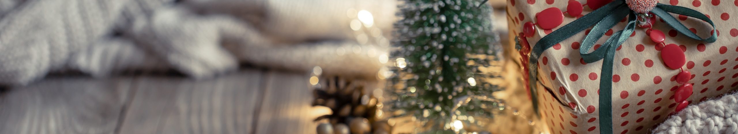 Actividades de temporada para personas mayores en Brooklyn 2025