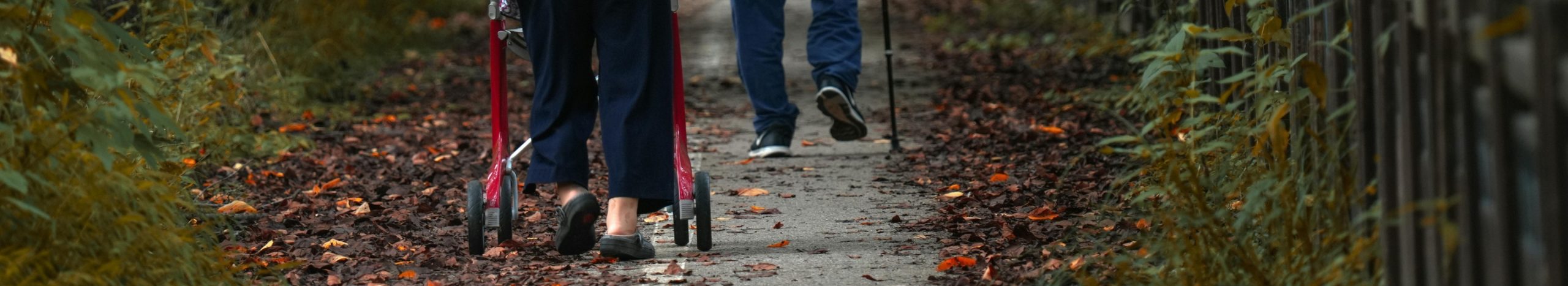 Resilience & Recovery for Older Adults in Brooklyn, New York