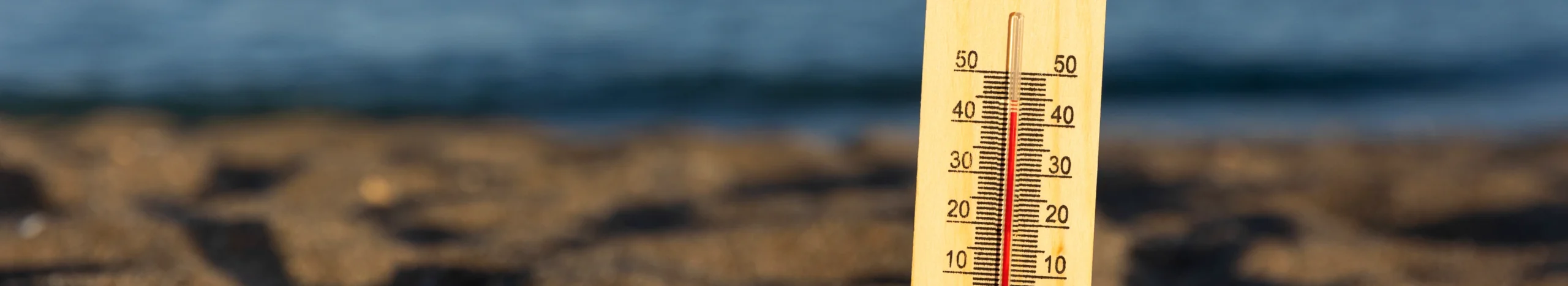 El Niño Is Here — What Does It Mean for New York City This Summer?