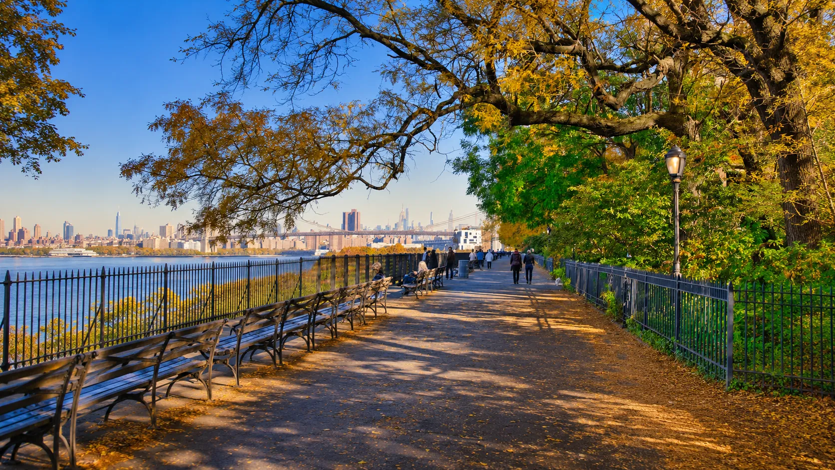 Find home care agency in Brooklyn 2026