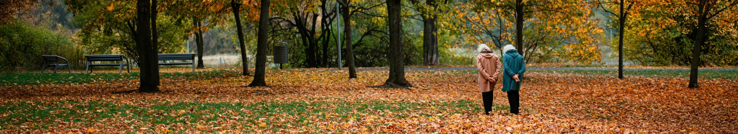 Best Places for Seniors to Enjoy Fall Walks in Brooklyn