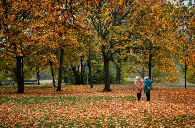 Best Places for Seniors to Enjoy Fall Walks in Brooklyn