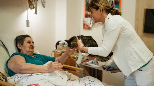 Find home care agency in NY 2026
