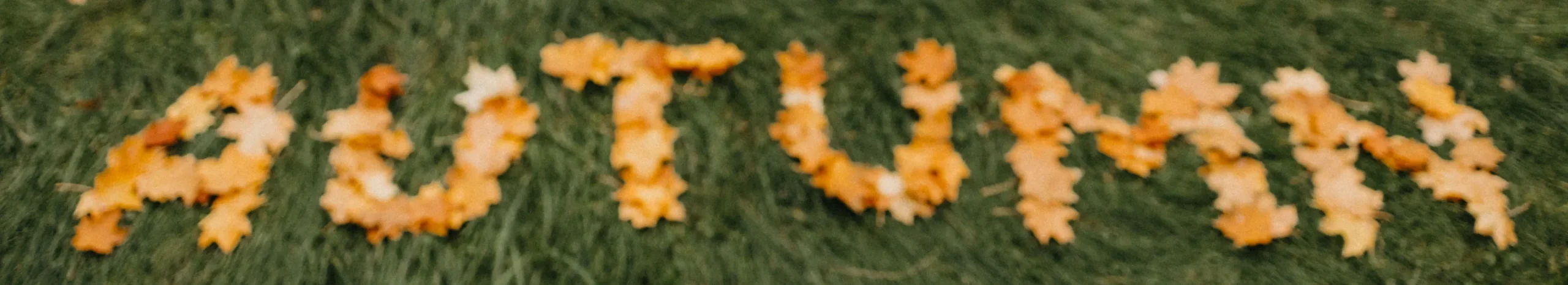 Fall Without Loneliness: Activities for Seniors in September