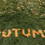 10518