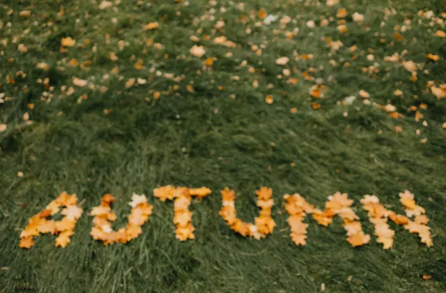 Fall Without Loneliness: Activities for Seniors in September